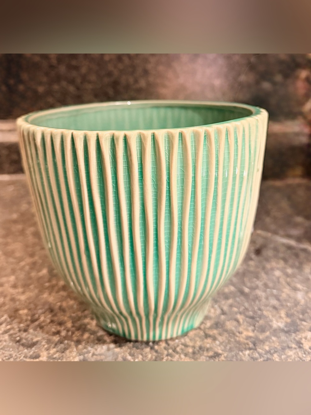 NWOT Ceramic Ribbed Planter